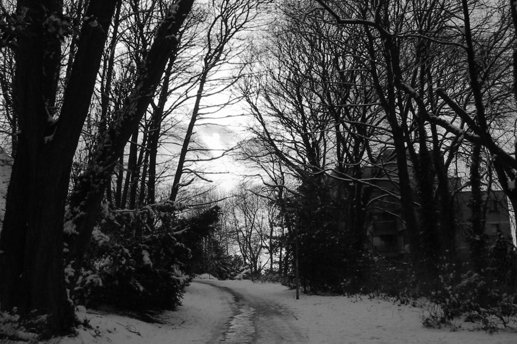 schnee040228-004.jpg