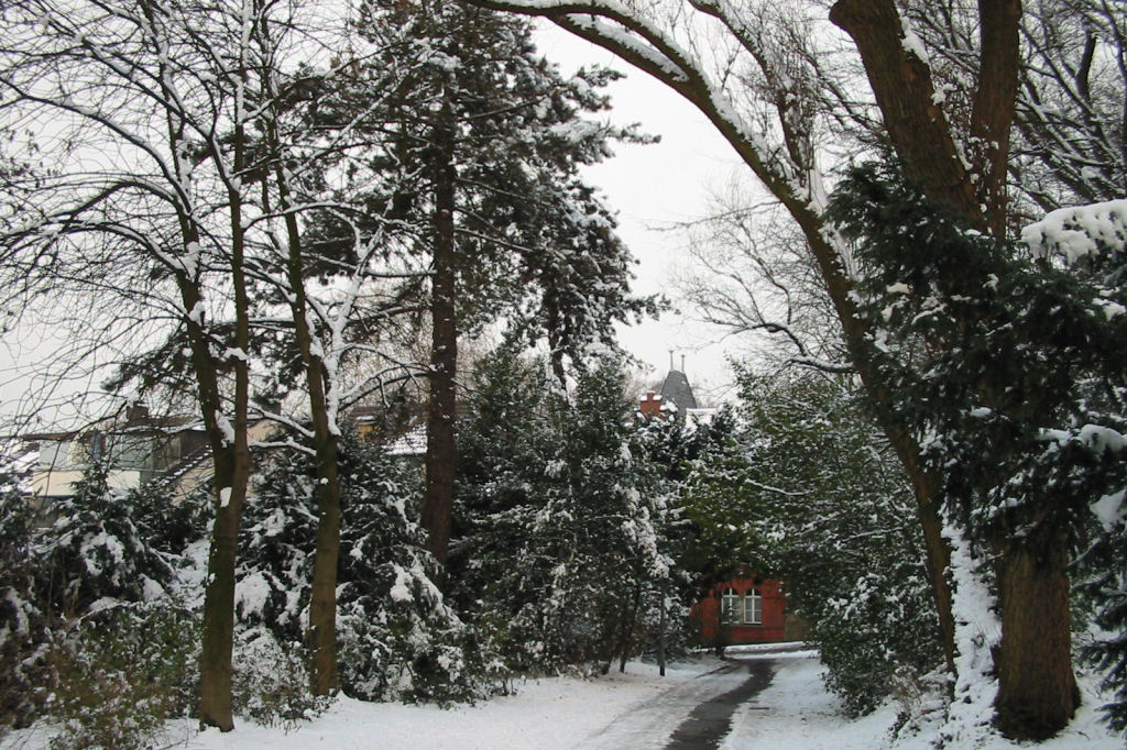 schnee040228-005.jpg