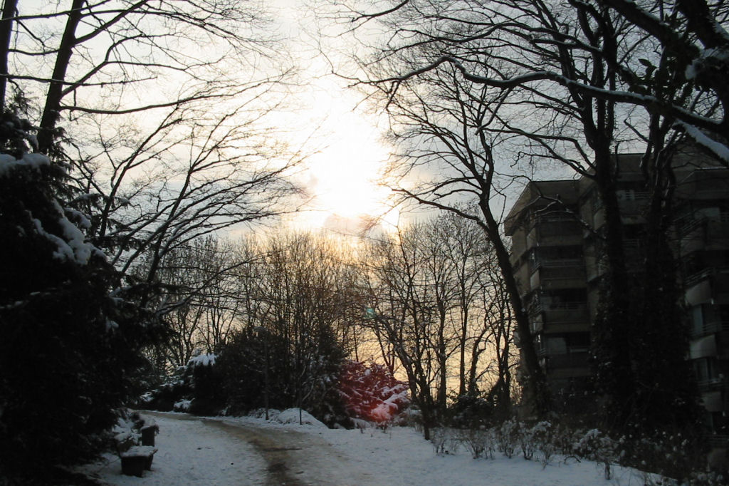 schnee040228-006.jpg