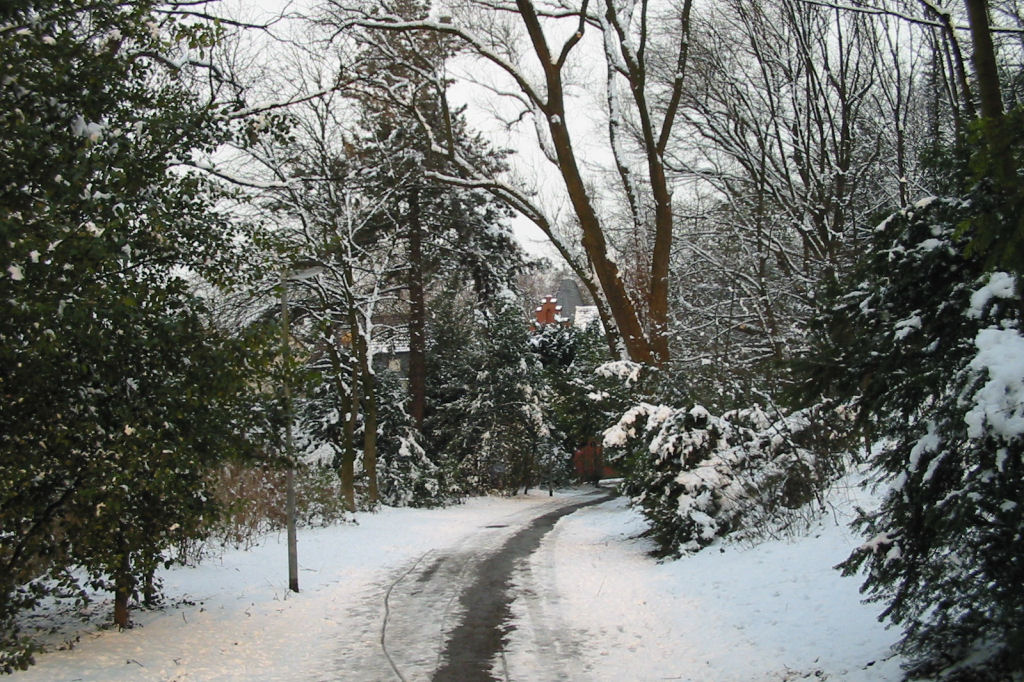 schnee040228-008.jpg