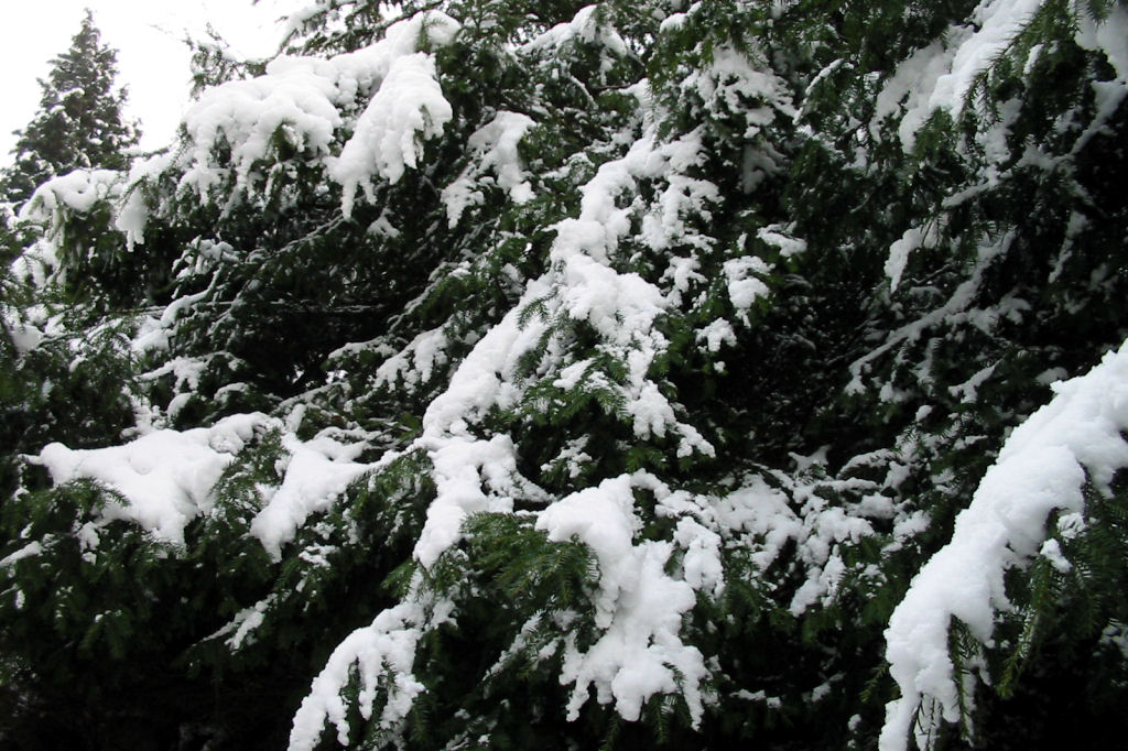 schnee040228-011.jpg