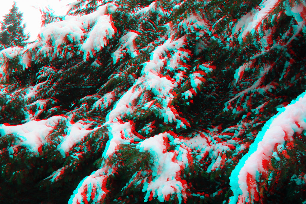 3D
