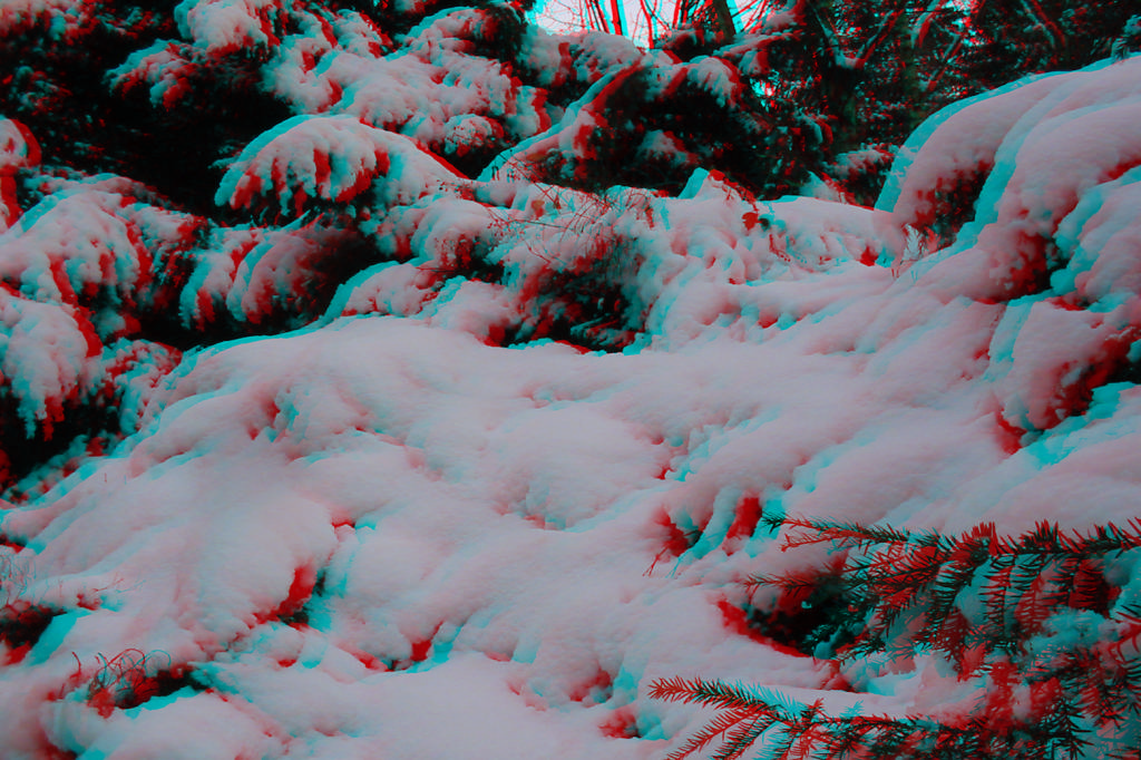 3D

