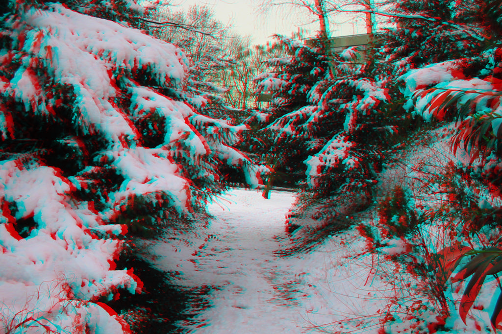 3D
