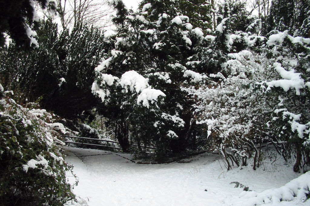 schnee040228-017.jpg