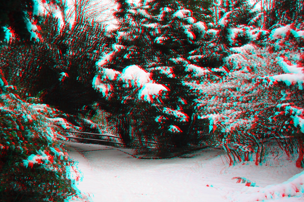 3D
