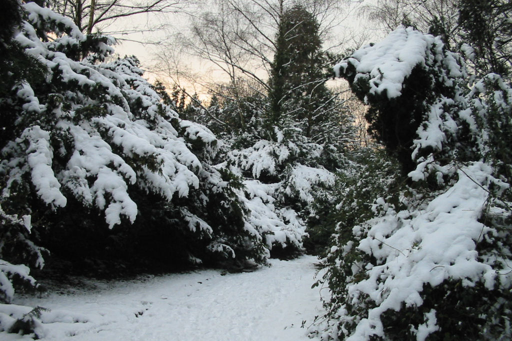schnee040228-019.jpg