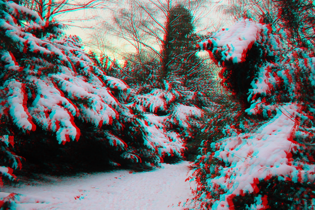 3D
