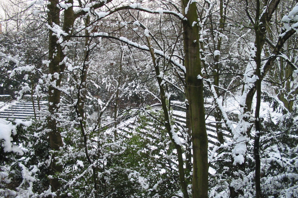 schnee040228-021.jpg