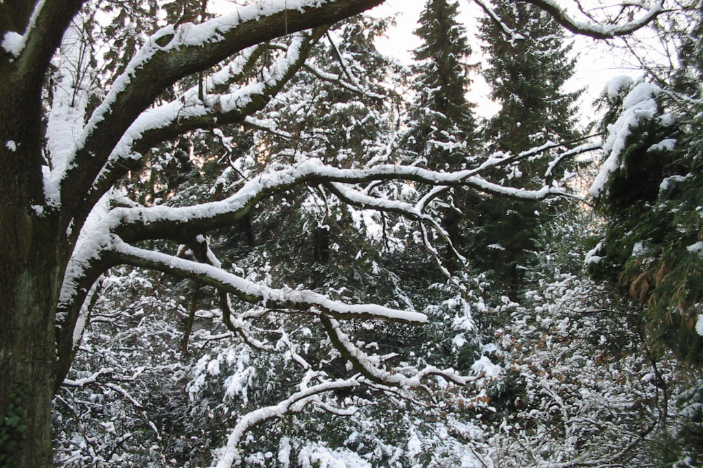 schnee040228-023.jpg