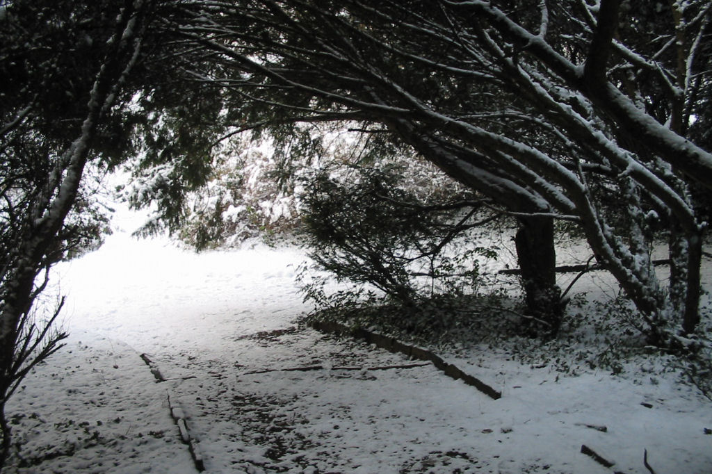 schnee040228-025.jpg