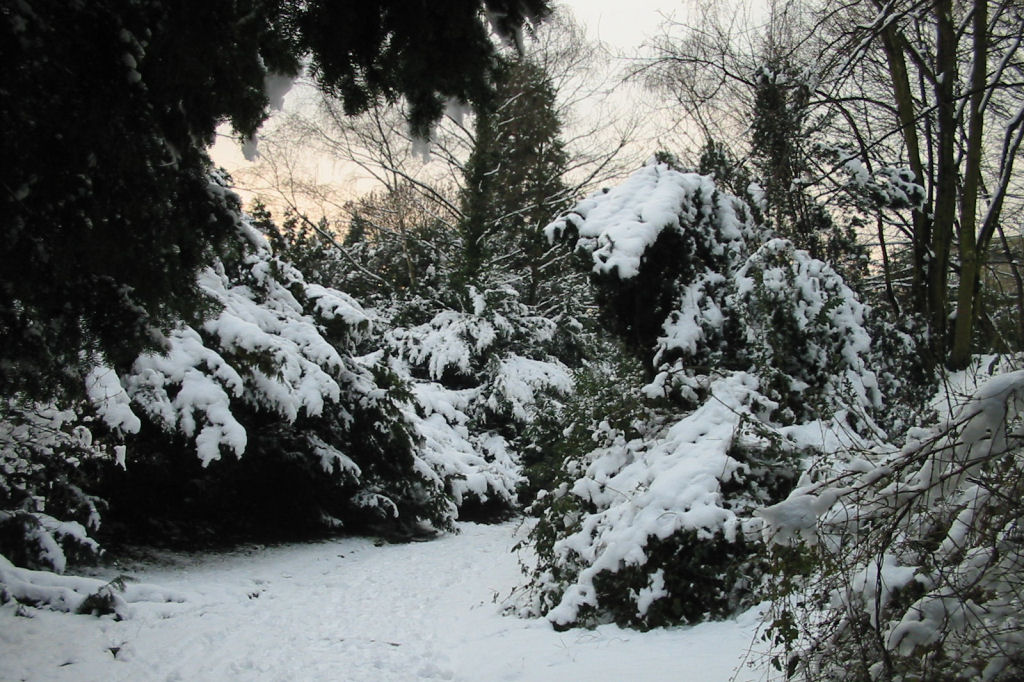 schnee040228-027.jpg