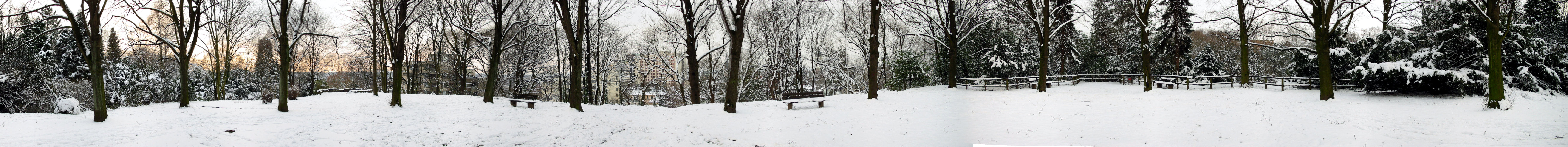 Panorama
