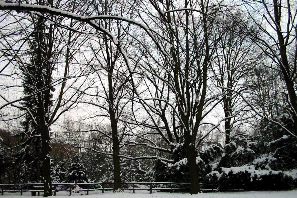 schnee040228-031.jpg