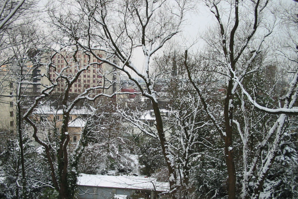 schnee040228-032.jpg
