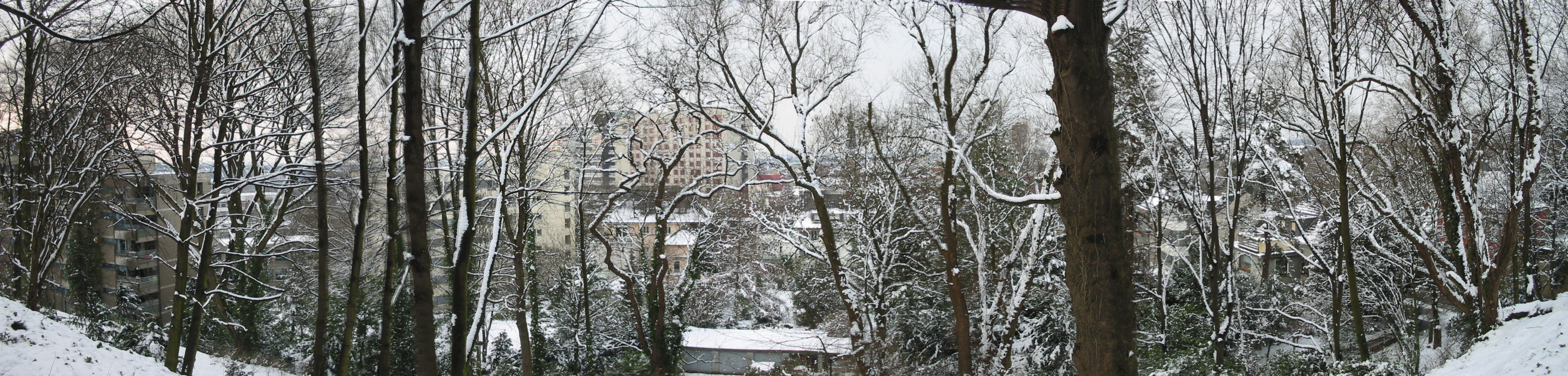Panorama
