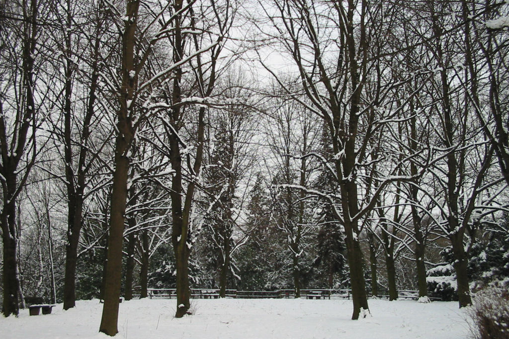 schnee040228-034.jpg
