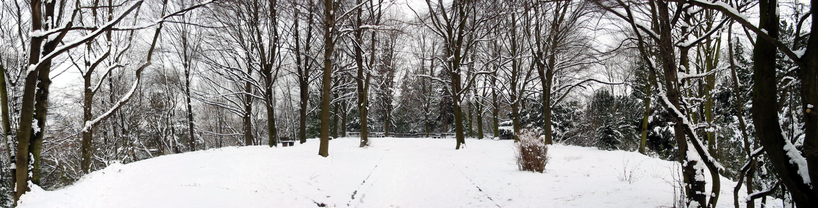 Panorama
