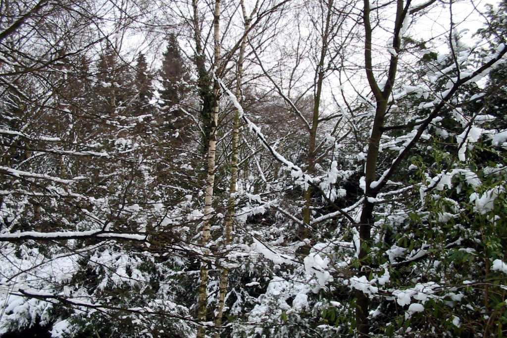 schnee040228-037.jpg