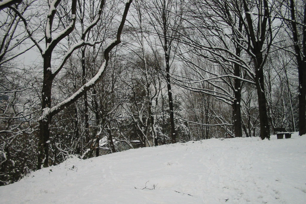 schnee040228-039.jpg