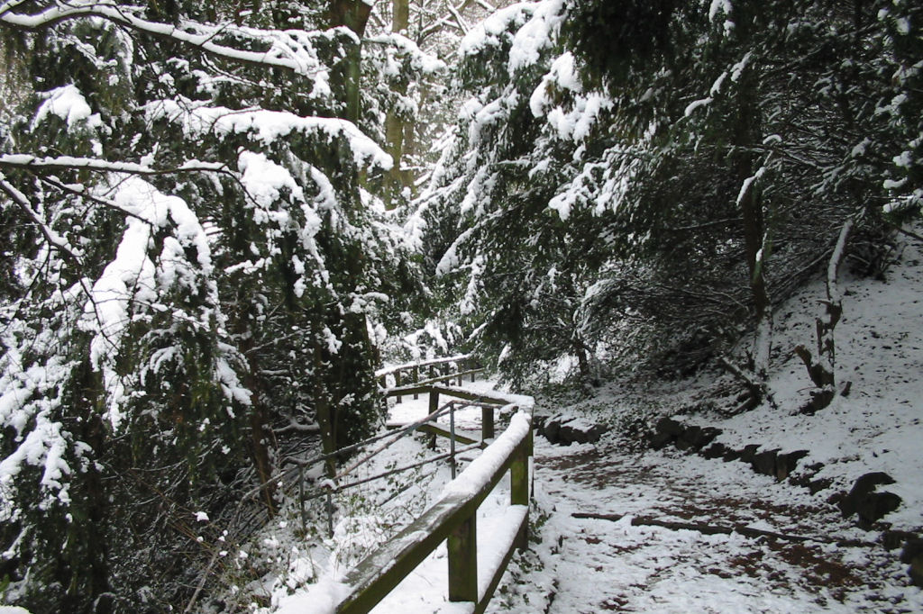 schnee040228-041.jpg