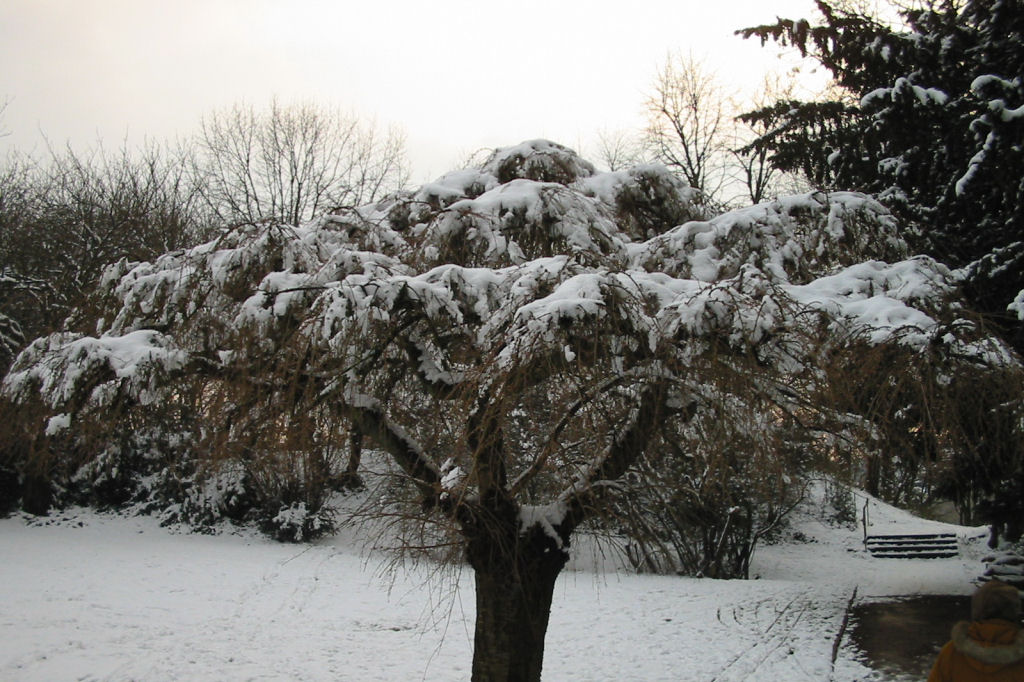 schnee040228-052.jpg