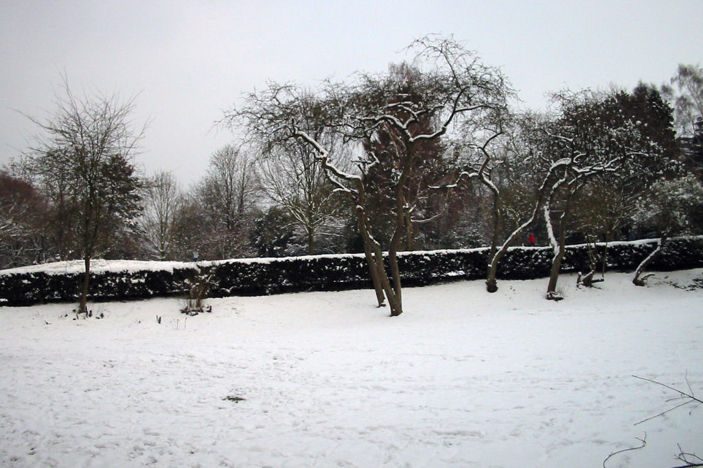 schnee040228-053.jpg