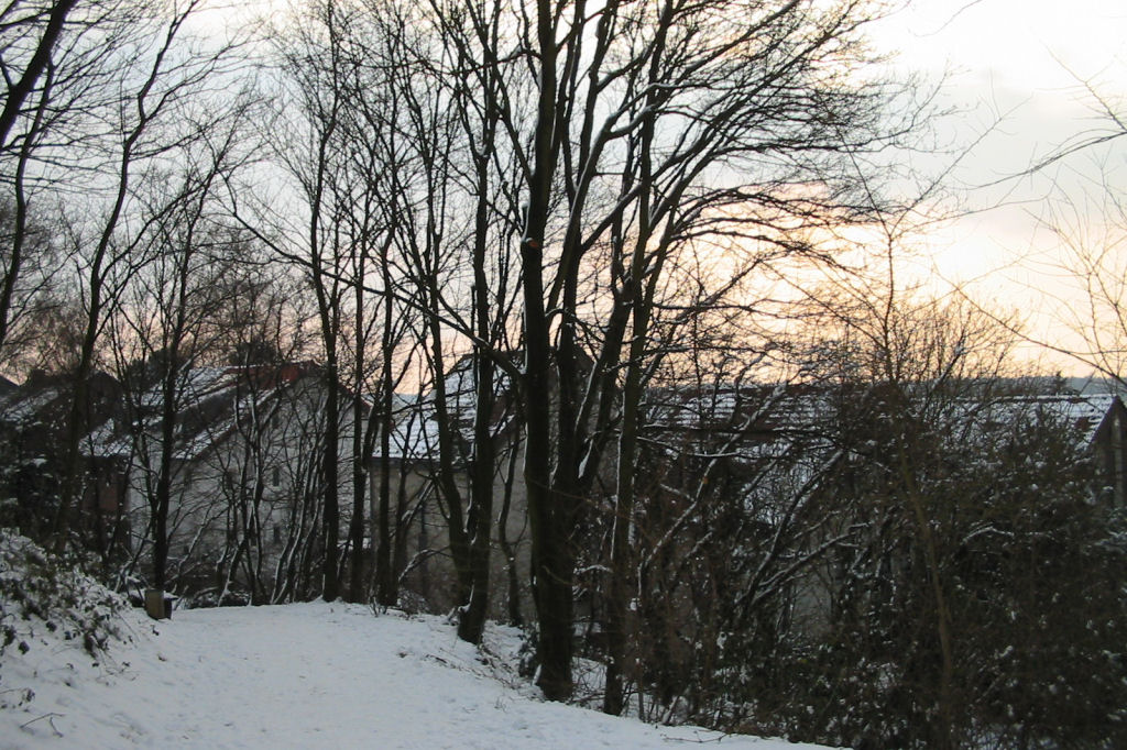 schnee040228-054.jpg