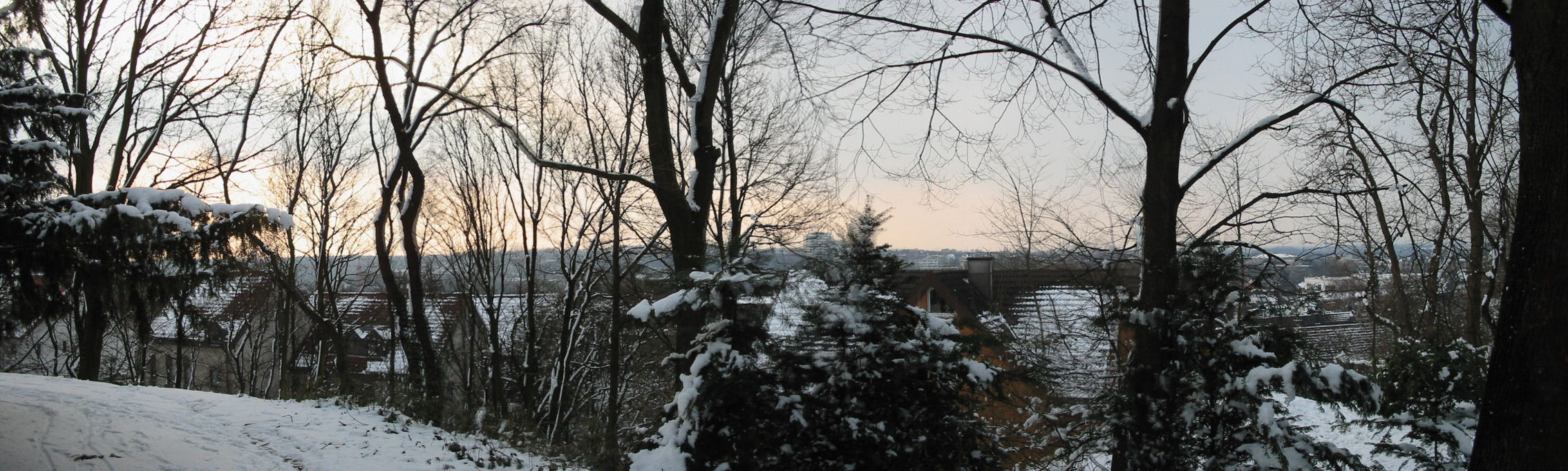 Panorama

