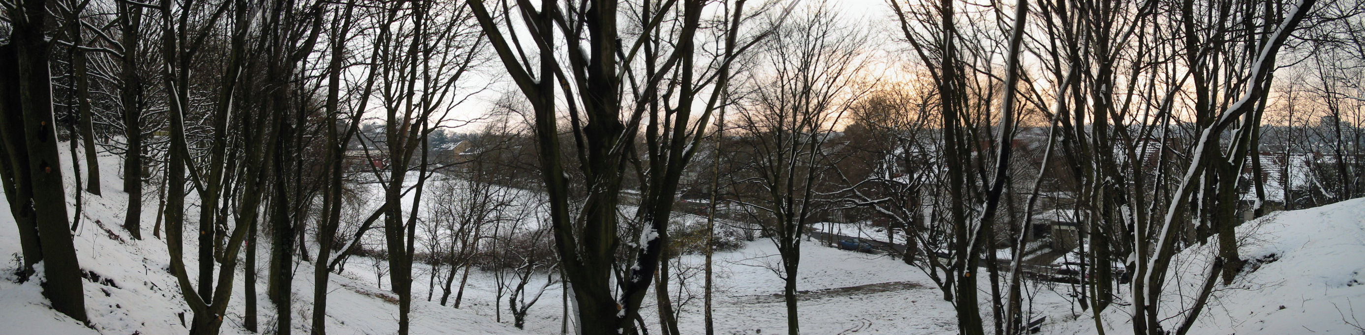 schnee040228-058pan.jpg