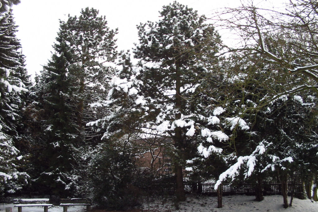 schnee040228-059.jpg