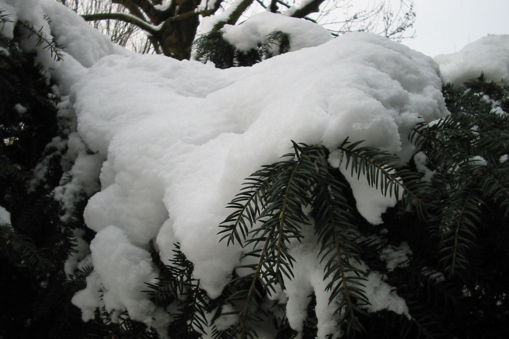 schnee040228-060.jpg