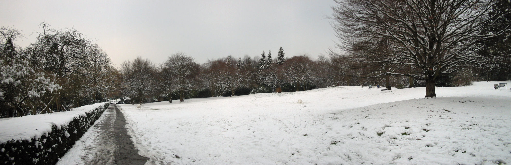 schnee040228-061pan.jpg
