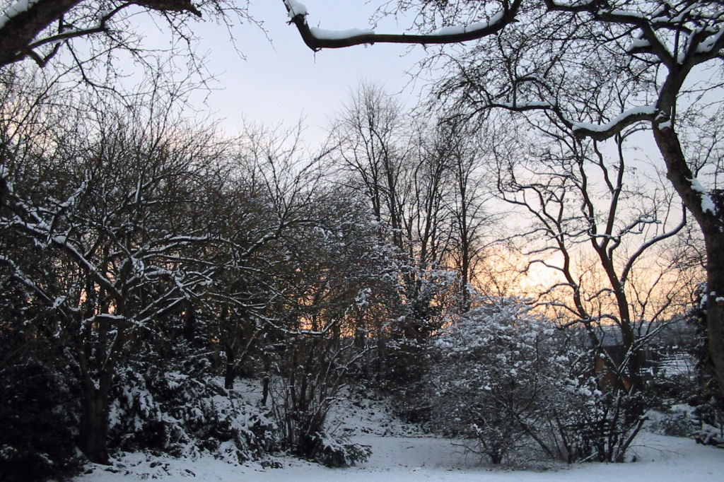 schnee040228-063.jpg