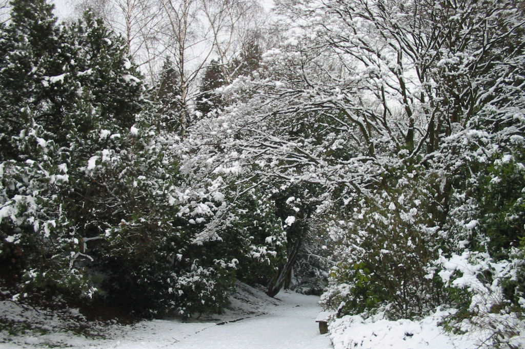 schnee040228-065.jpg
