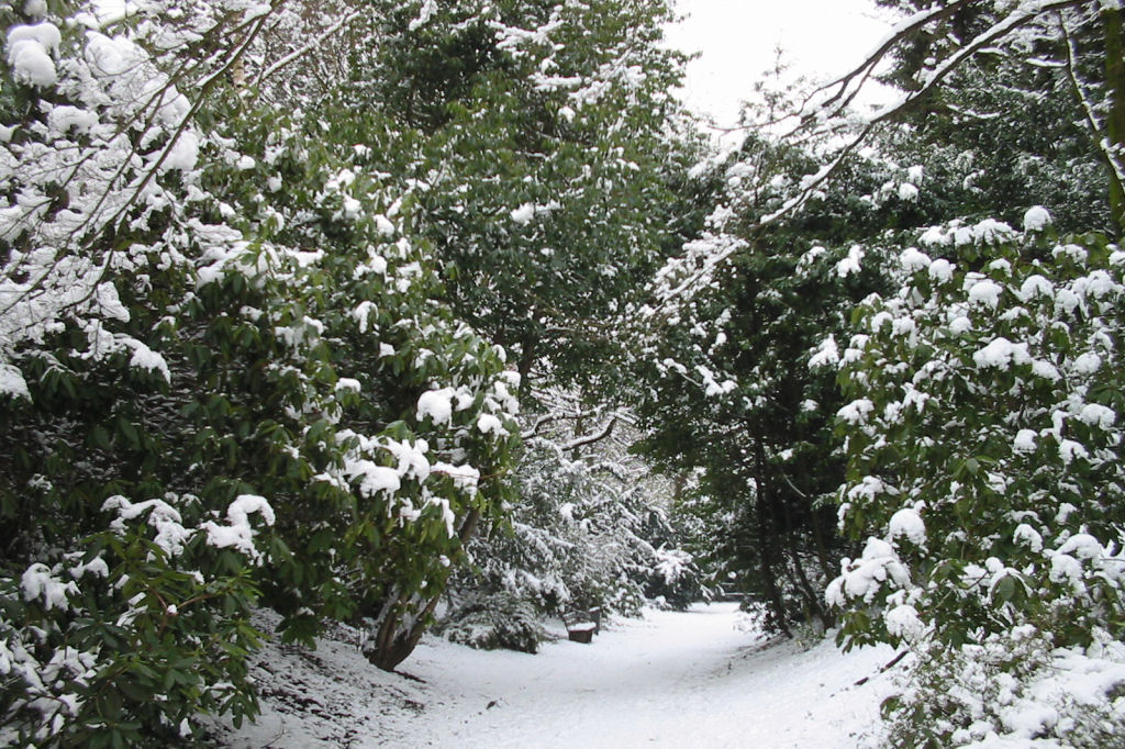 schnee040228-066.jpg