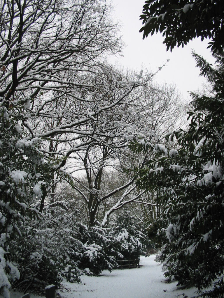 schnee040228-067.jpg