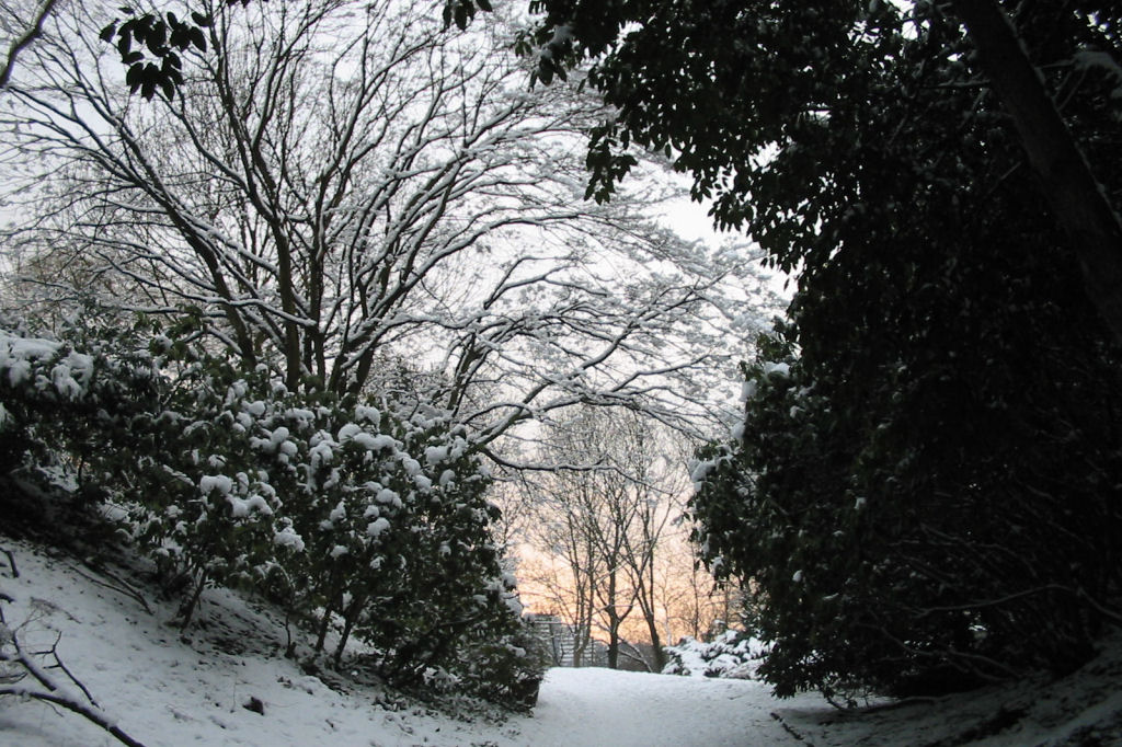 schnee040228-068.jpg