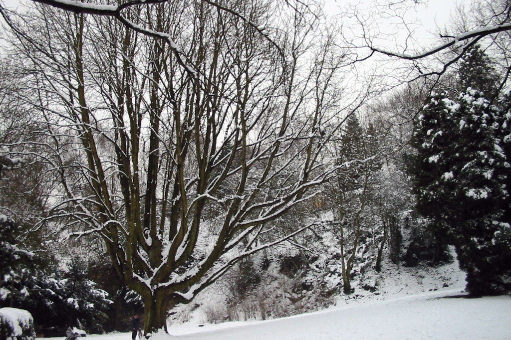schnee040228-069.jpg