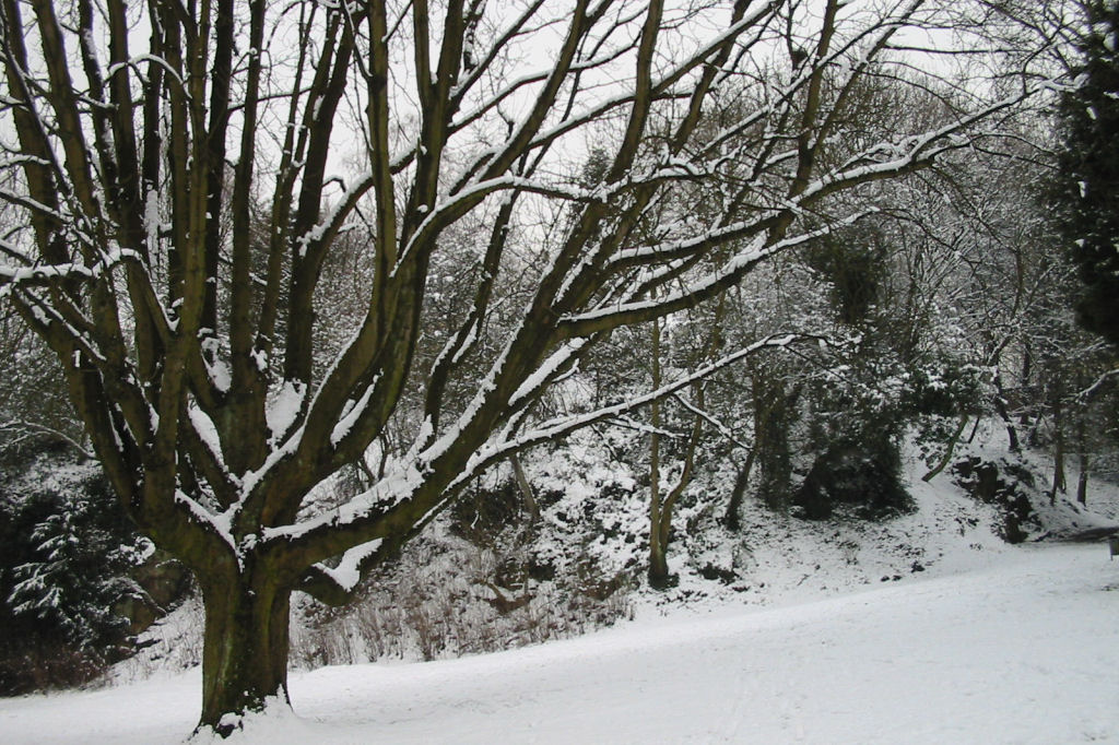 schnee040228-070.jpg