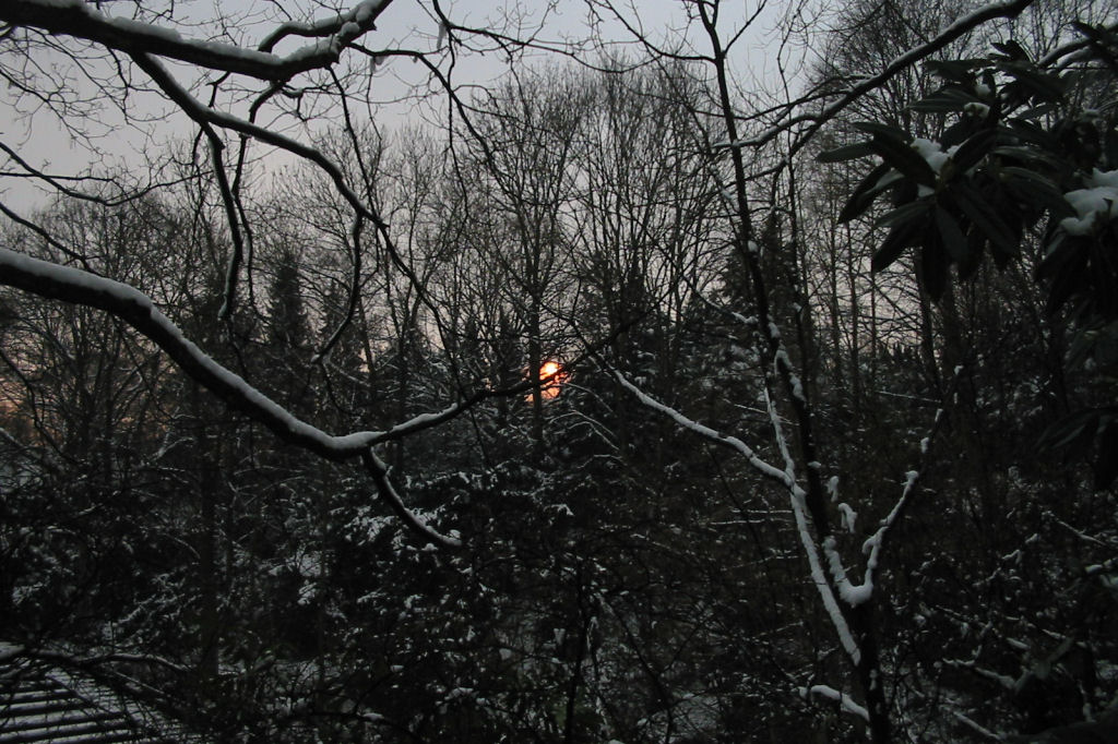 schnee040228-074.jpg