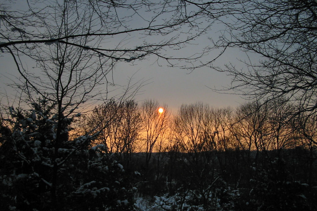 schnee040228-078.jpg