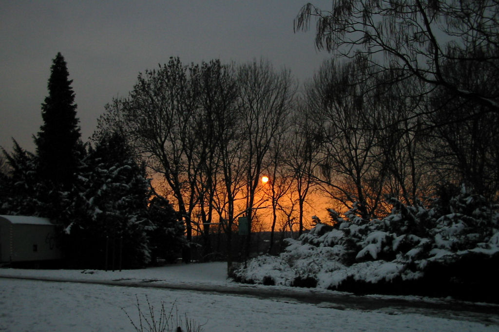 schnee040228-082.jpg