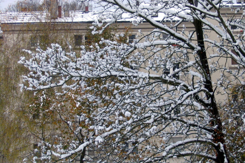 schnee237-051126.jpg