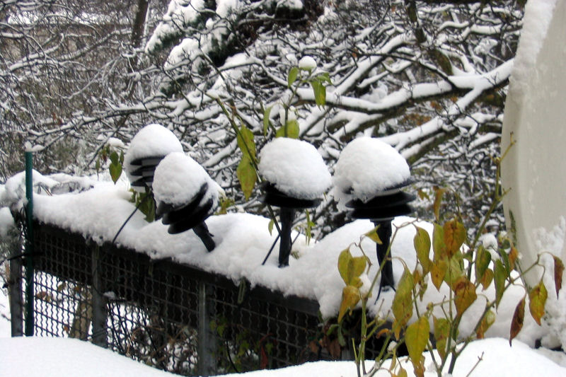 schnee240-051126.jpg
