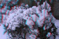 3D