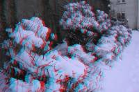 3D