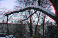 3D