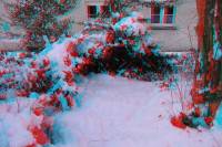 3D