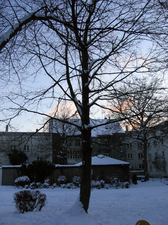 schnee090105-049.jpg
